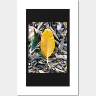 Mustard Leaf Posters and Art